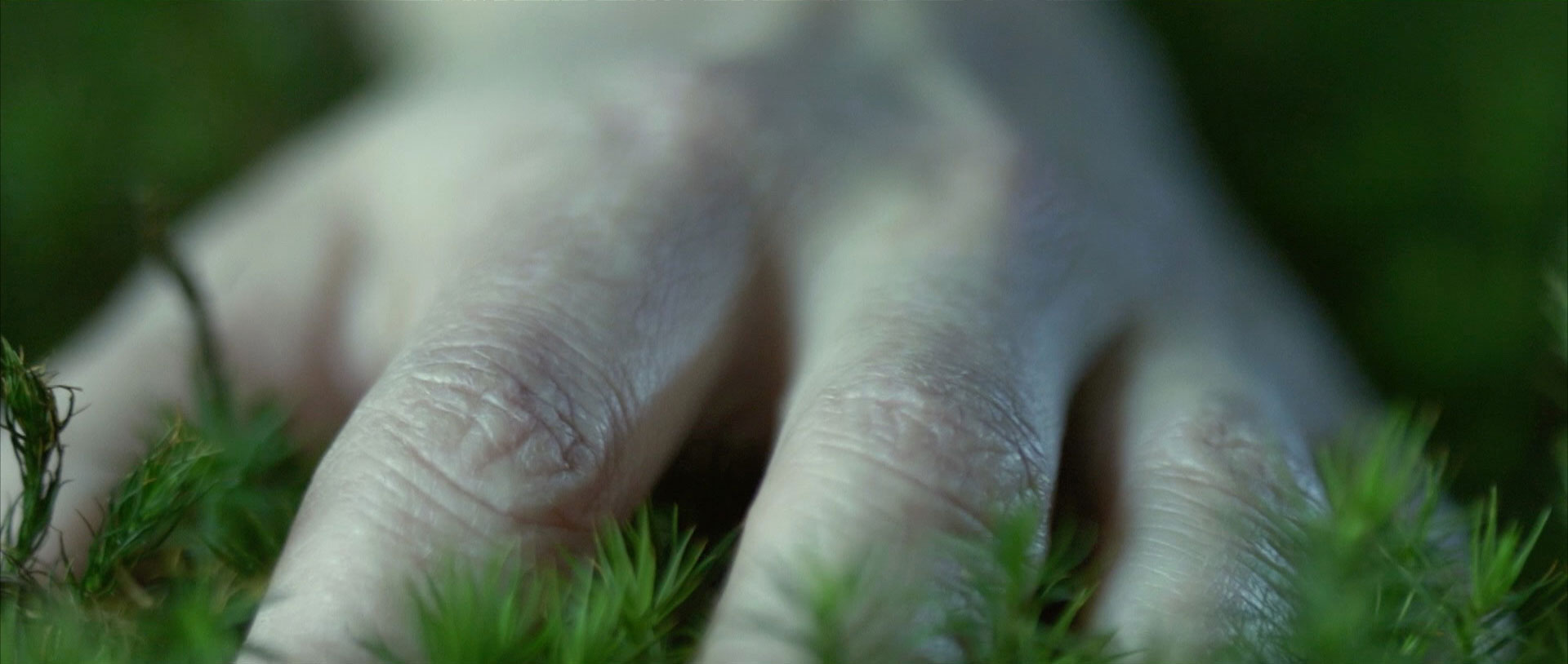 hand touching grass